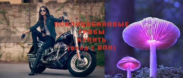 тгк Баксан